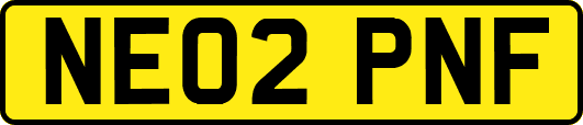 NE02PNF