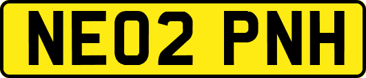 NE02PNH