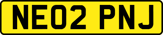NE02PNJ