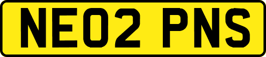 NE02PNS