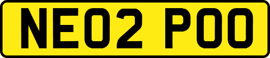 NE02POO