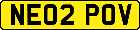 NE02POV