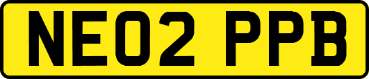 NE02PPB