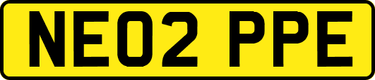 NE02PPE