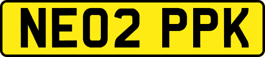 NE02PPK