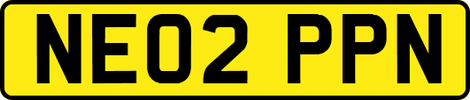 NE02PPN
