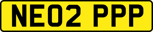 NE02PPP