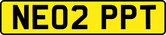 NE02PPT