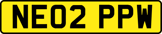 NE02PPW
