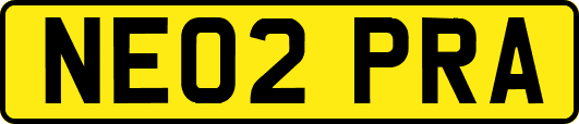 NE02PRA
