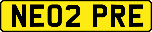 NE02PRE
