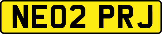 NE02PRJ