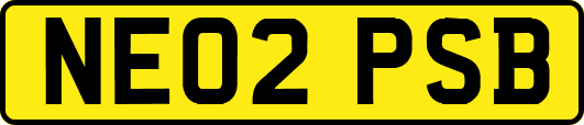 NE02PSB