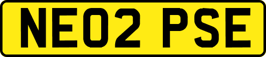 NE02PSE