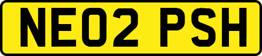 NE02PSH