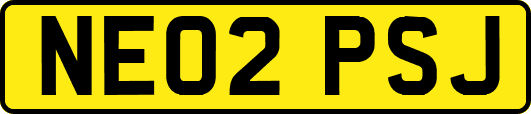 NE02PSJ