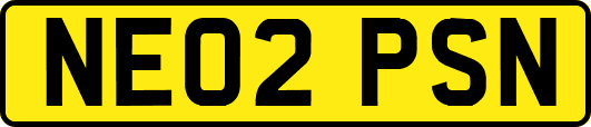 NE02PSN