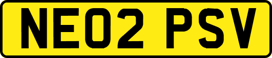 NE02PSV