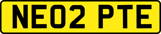 NE02PTE