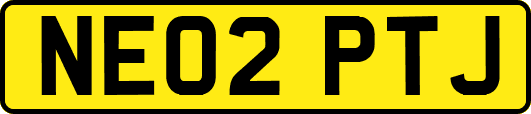 NE02PTJ