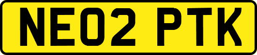 NE02PTK