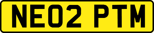 NE02PTM