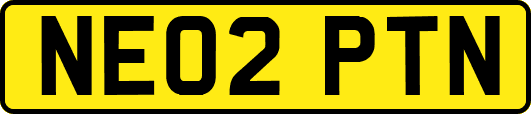NE02PTN