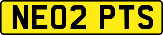 NE02PTS