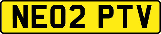 NE02PTV