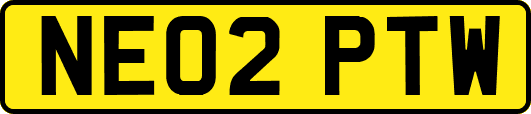 NE02PTW
