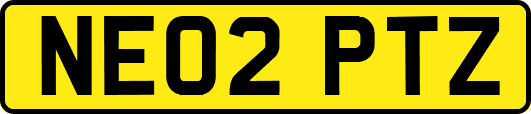 NE02PTZ