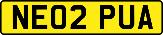 NE02PUA