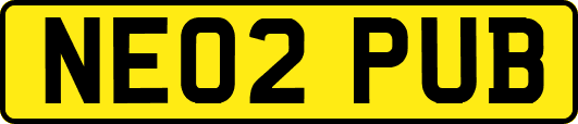 NE02PUB