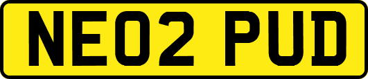 NE02PUD