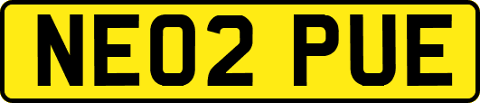 NE02PUE