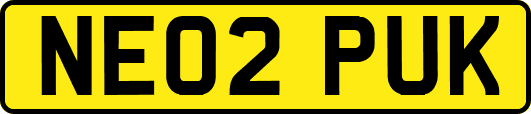 NE02PUK