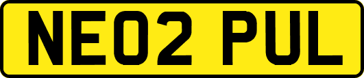NE02PUL