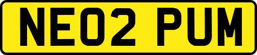 NE02PUM