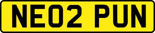 NE02PUN