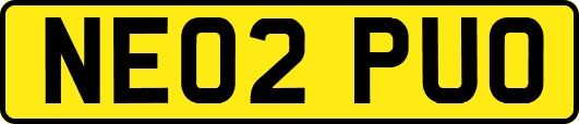 NE02PUO
