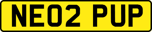 NE02PUP