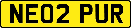 NE02PUR