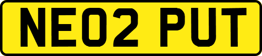 NE02PUT