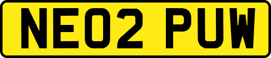 NE02PUW