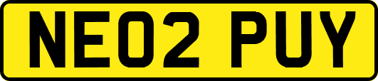 NE02PUY