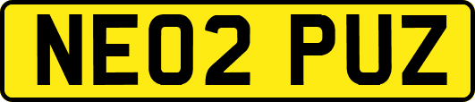 NE02PUZ