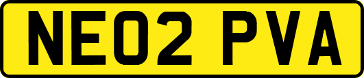 NE02PVA