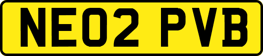 NE02PVB