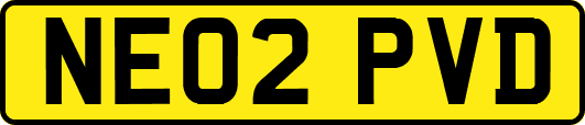 NE02PVD