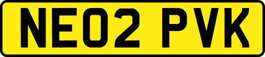 NE02PVK